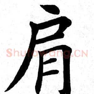 肩