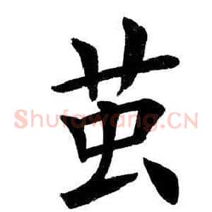 茧