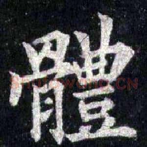 體