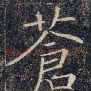 蒼