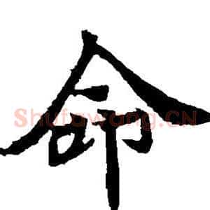 命