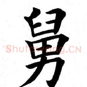 舅