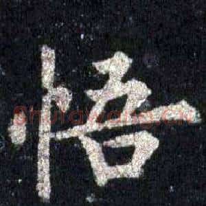 悟