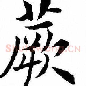 蕨