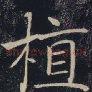 植
