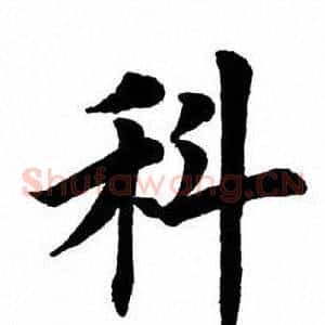 科