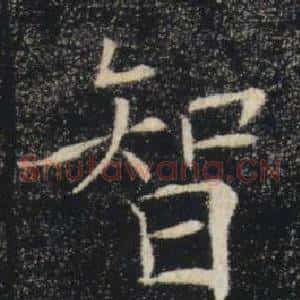 智