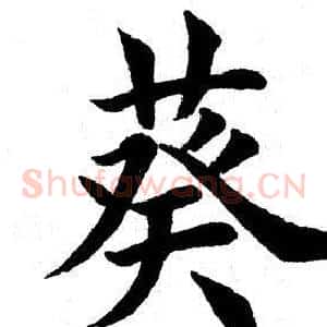 葵