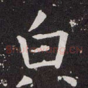 貌