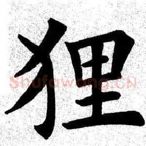 狸