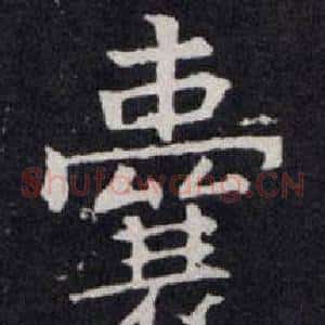 囊