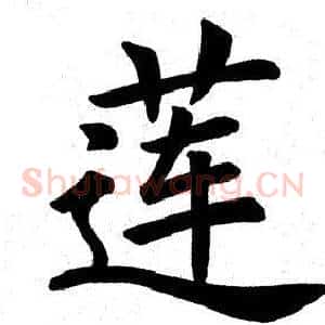 莲
