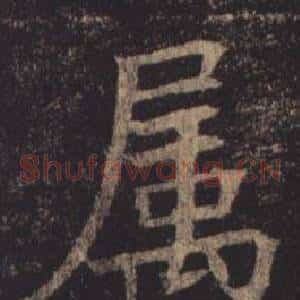 屬