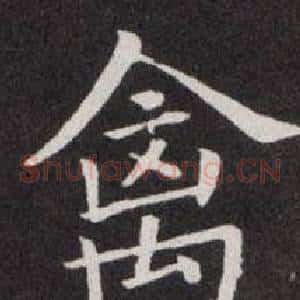 禽