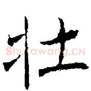 壯