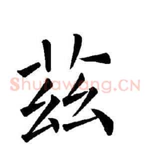 兹