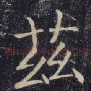 茲