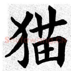 猫