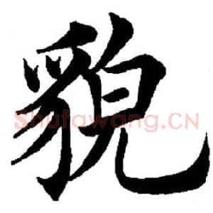 貌