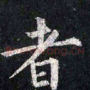 者