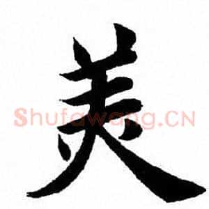 美