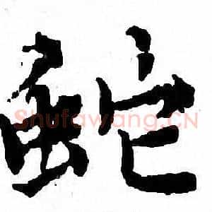蛇