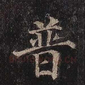 普