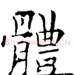体