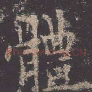 體