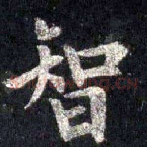 智