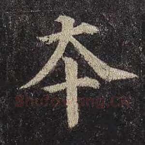 本