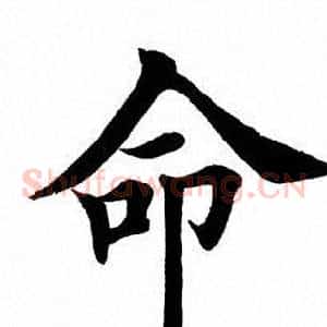 命