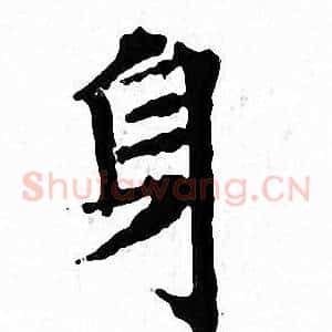 身