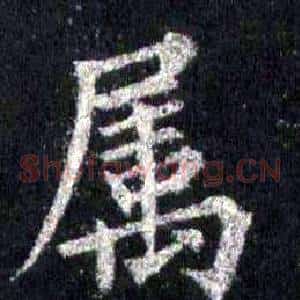 属