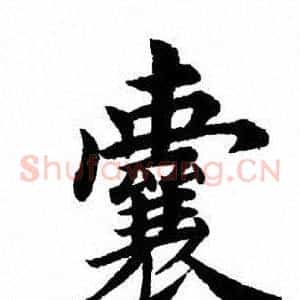 囊