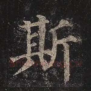 斯
