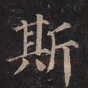 斯