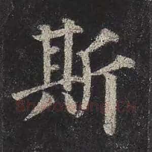 斯
