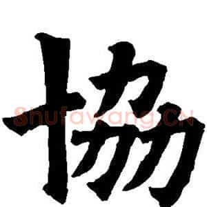 协