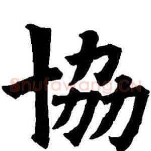 協
