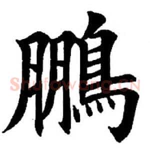 鹏