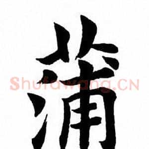 蒲