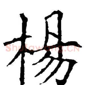 杨