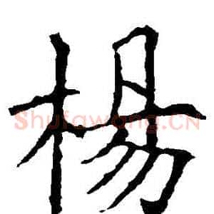 楊