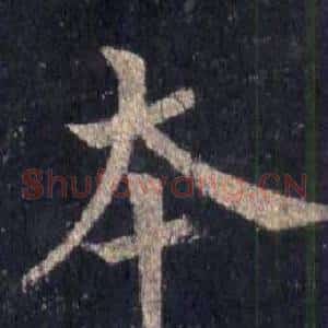 本