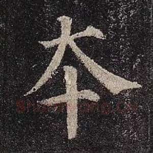 本