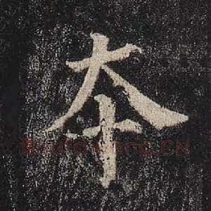 本