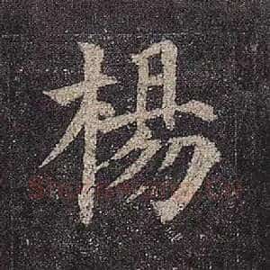 杨