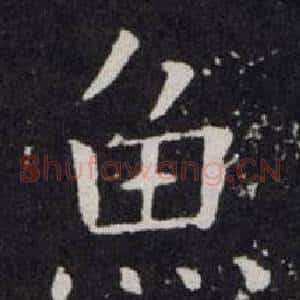 魚