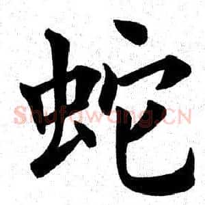 蛇